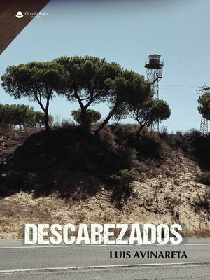 cover image of DESCABEZADOS